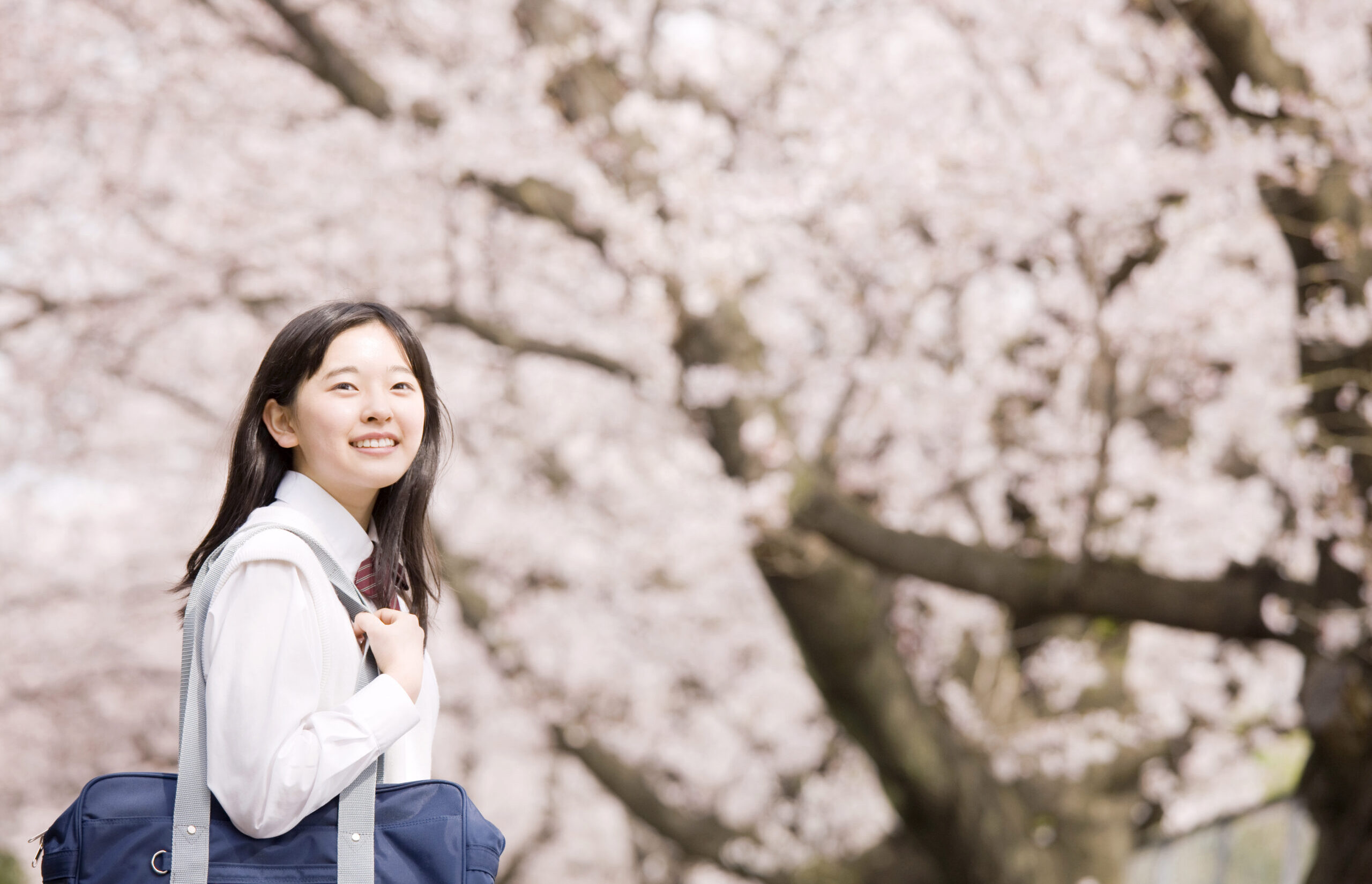 美術大学に行きたい